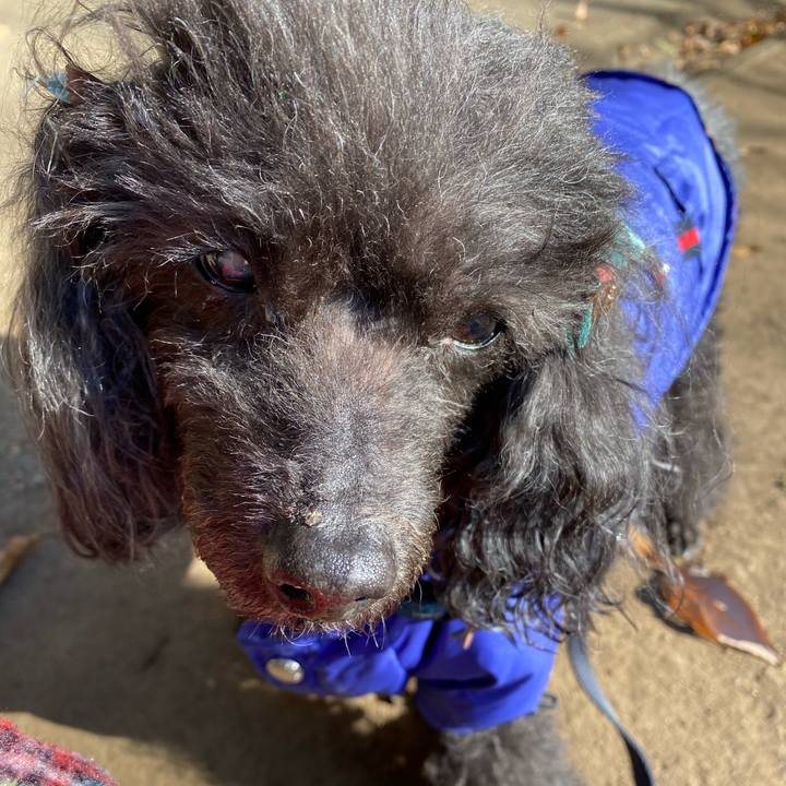 C5b47d86 3775 4b0b 8842 336e54ea1cc5 1607520645527