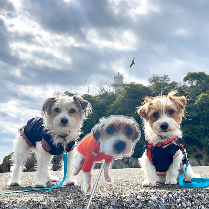 C5b47fd2 cbdd 4091 a131 97ed3758bbfc 1772771218014