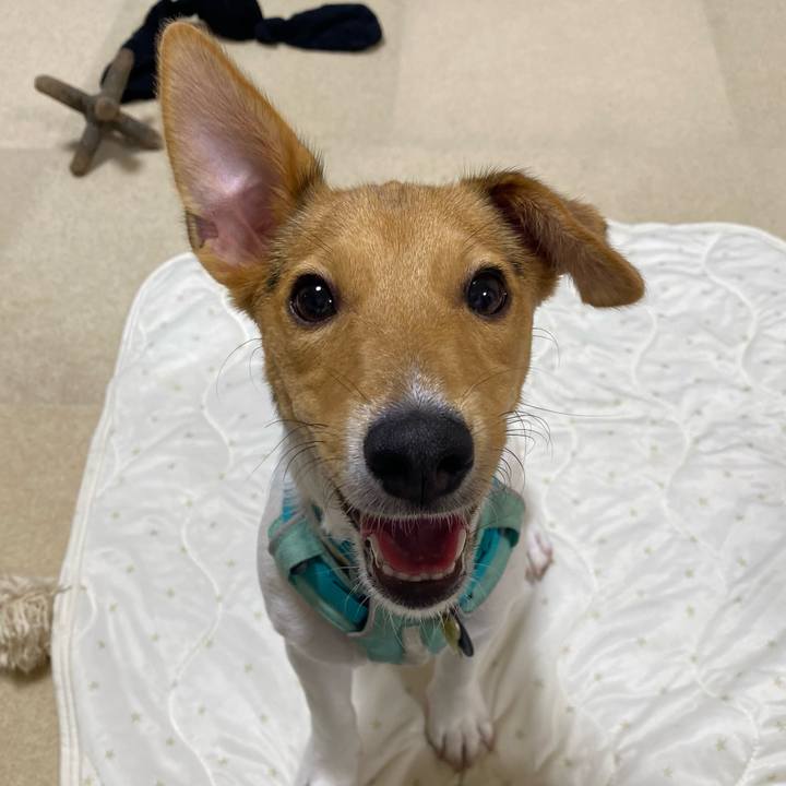 C5b4c08d 0e6a 4830 a220 3e45a094dc36 1752415335000