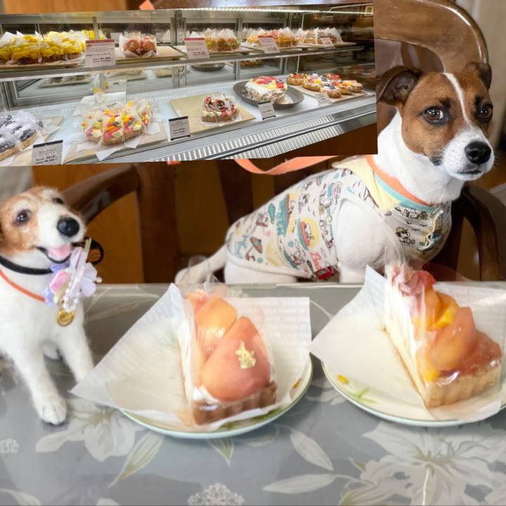 C5b4eb0e ce66 43a0 af5a 4235ddd4f089 1629082815734