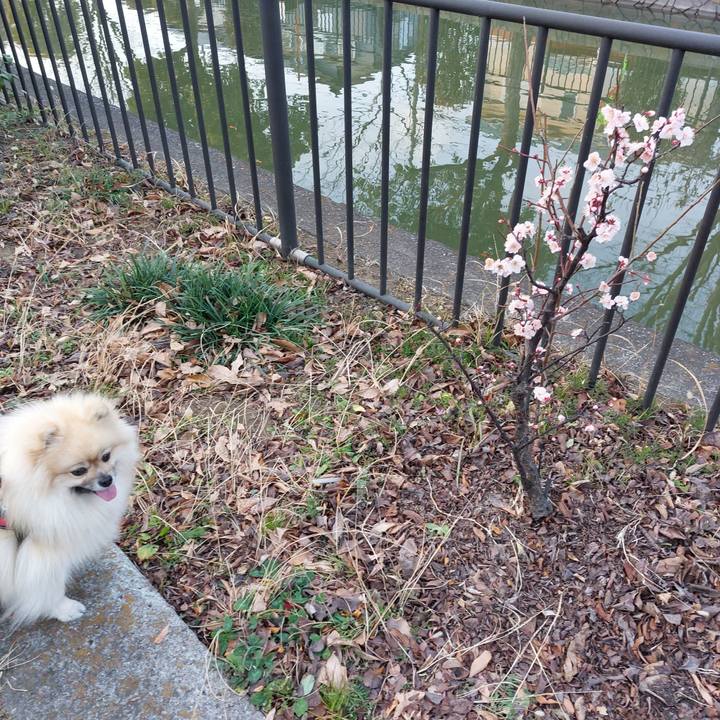 C5b5231e f3b9 41c1 9bbb 5bfd88307b09 1706338807887