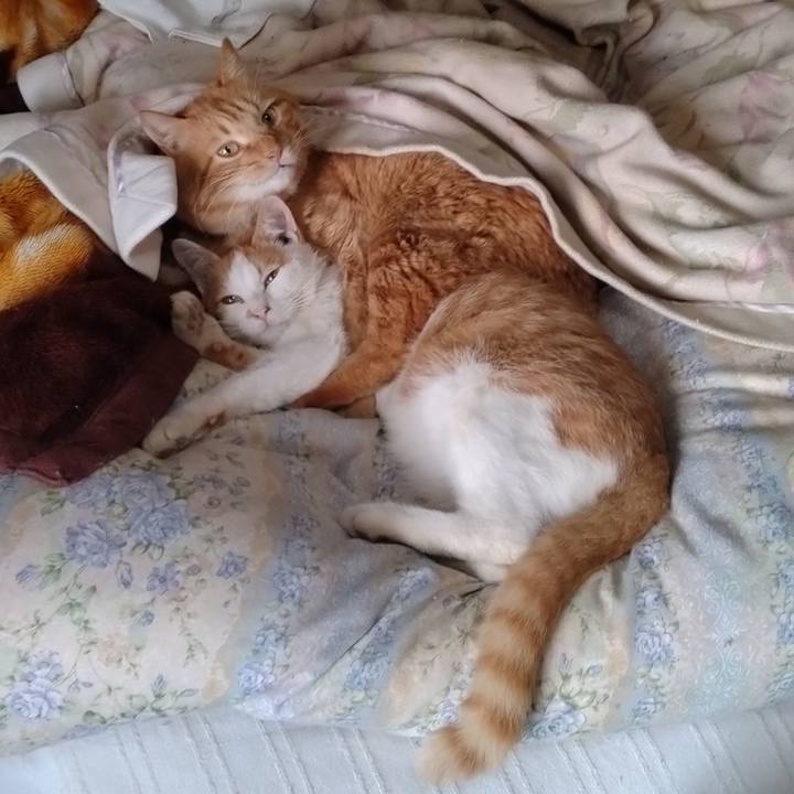 C5b527d2 7614 4689 95ac 630a2fec1e00 1738884902400