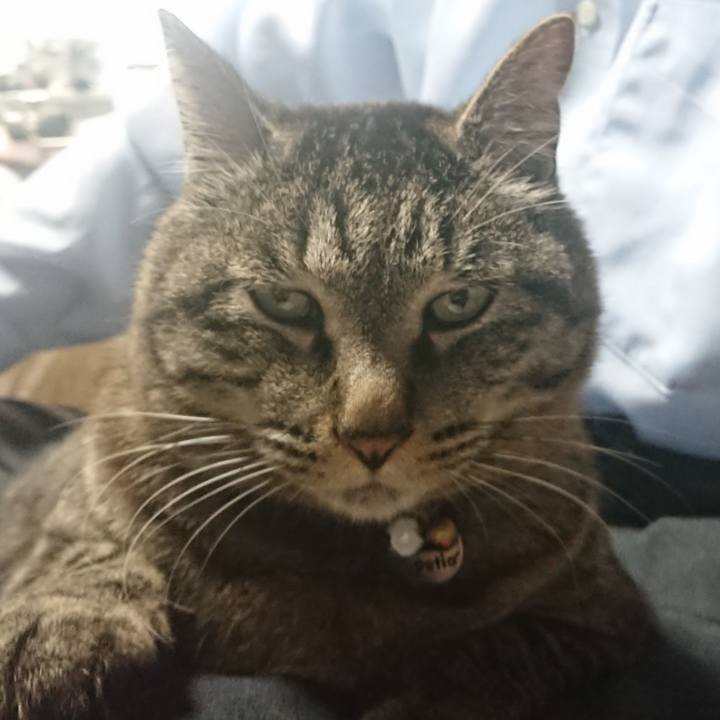 C5b54a84 9598 4322 9d61 636c15a07040 1651234741019