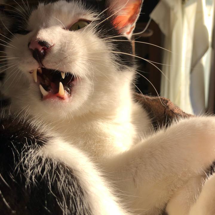 C5b57045 3759 4259 8e2f 64f32383191d 1558598599872