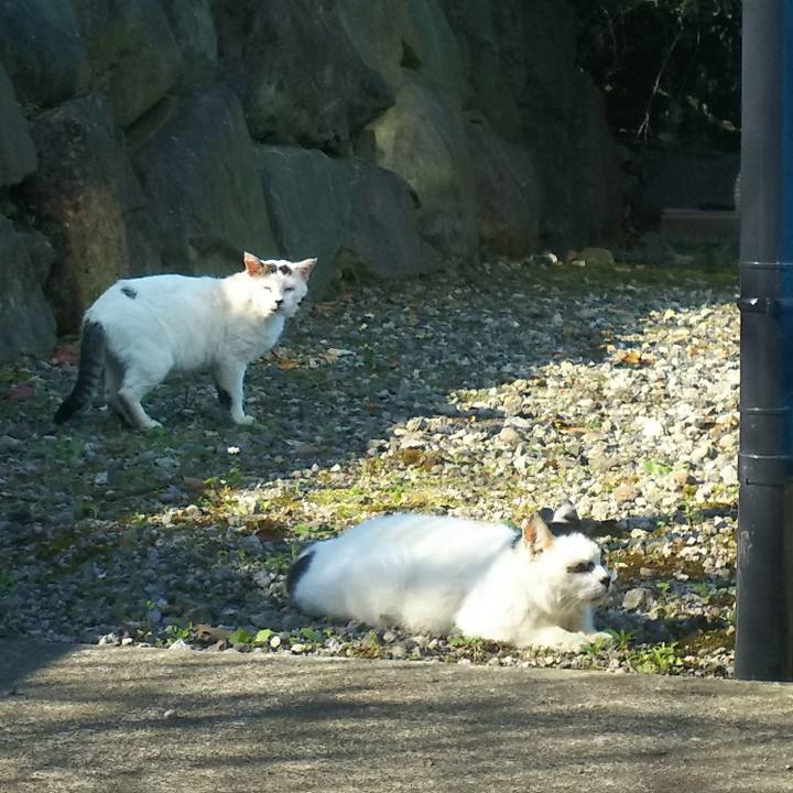 C5b57217 3530 461d a069 c6926b39944a 1525000286348