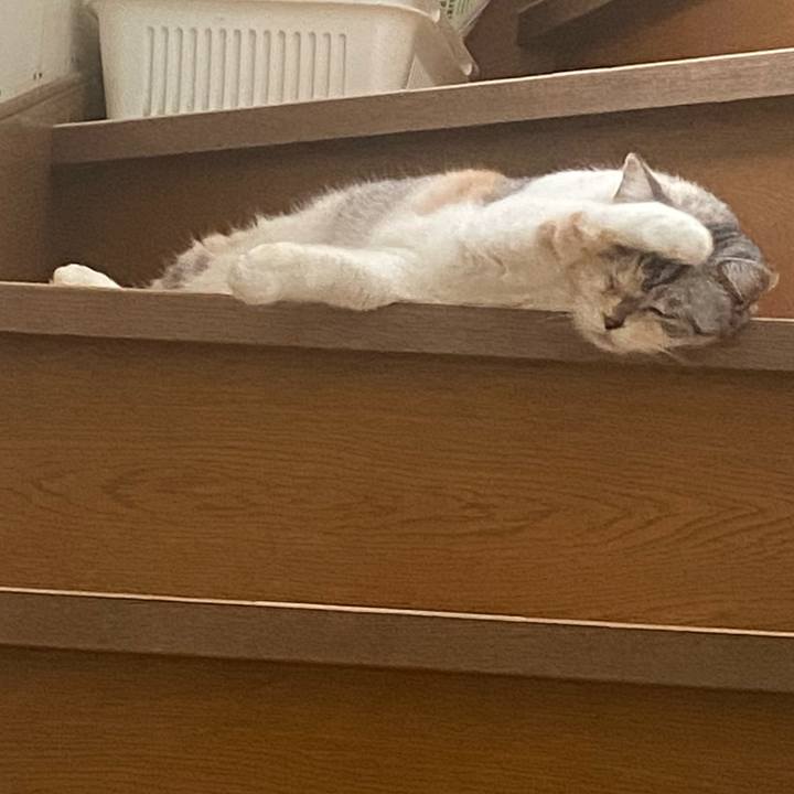 C5b59aee 0637 43bb 99c7 5f4b98121bde 1760146492107