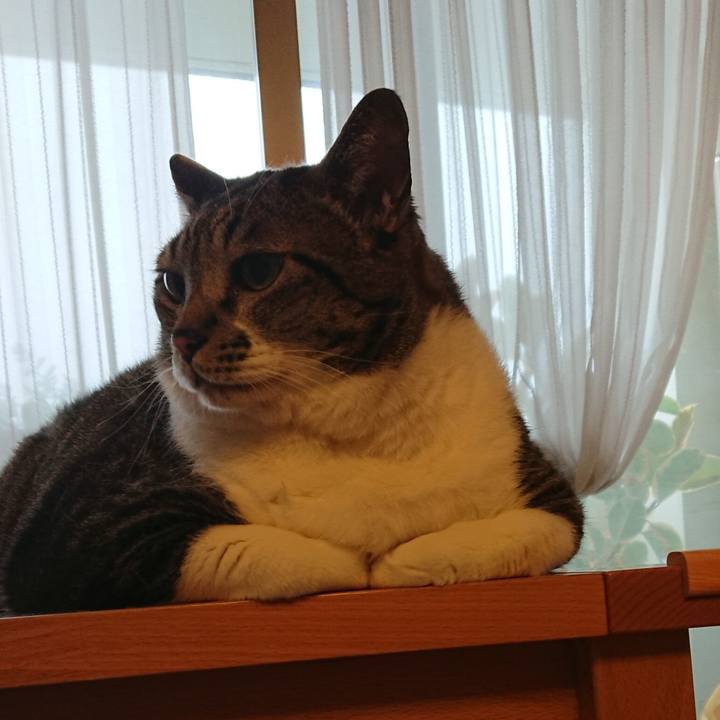 C5b5a02a 2a4a 4e39 8edd 7f3ccb2abe98 1538183840277