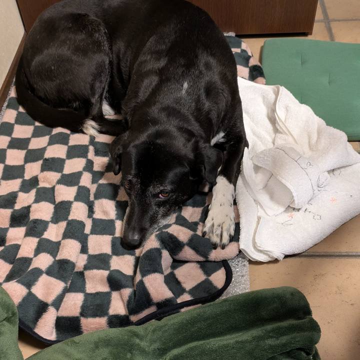 C5b5a3bd 958a 4ae5 a061 be36d36e8eed 1771719985371