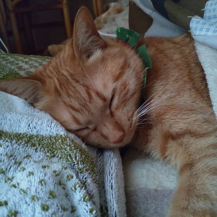 C5b5fe2c da50 4fb7 857c 75d9c77f9ce1 1641865519546