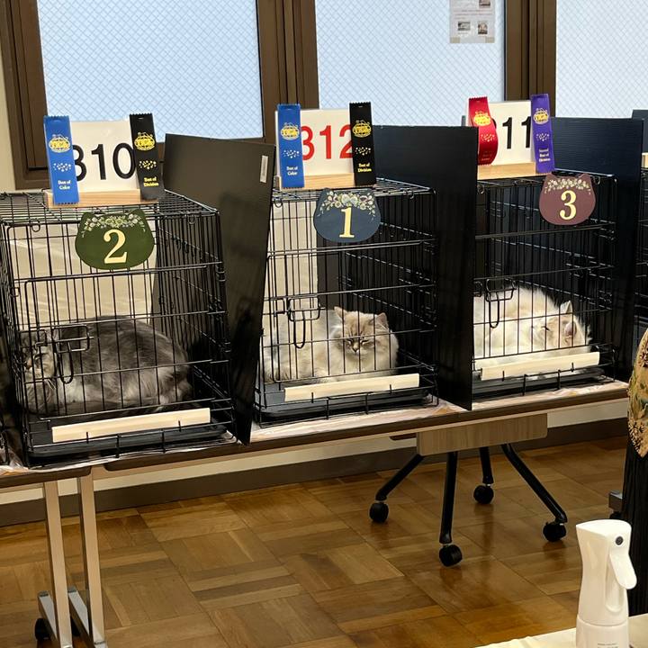 C5b60542 d74e 4a70 b1ea 4ce8631b4a00 1725936254330