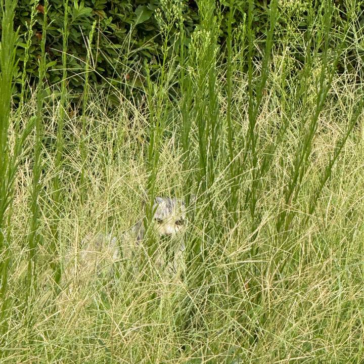 C5b627b6 503a 4d26 bdc5 0599f209d220 1756176534100