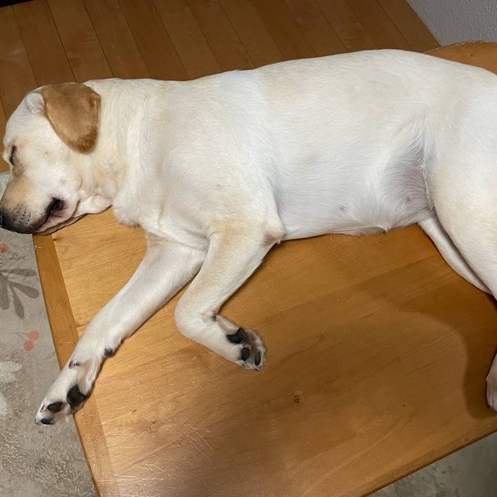 C5b62c92 27f9 465b abff 6a36b513a33a 1640326369710