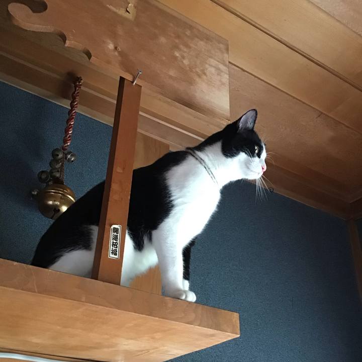 C5b62cc3 d0db 4e81 8210 fa947d2458d7 1655779645919