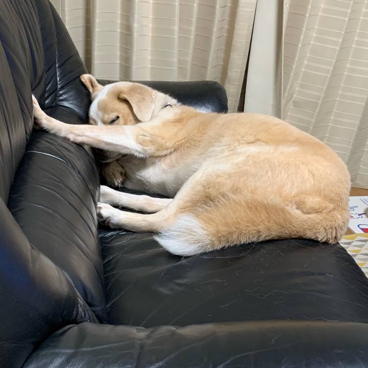 C5b635a2 3a61 469a 8265 4e01c96453f2 1573450745600