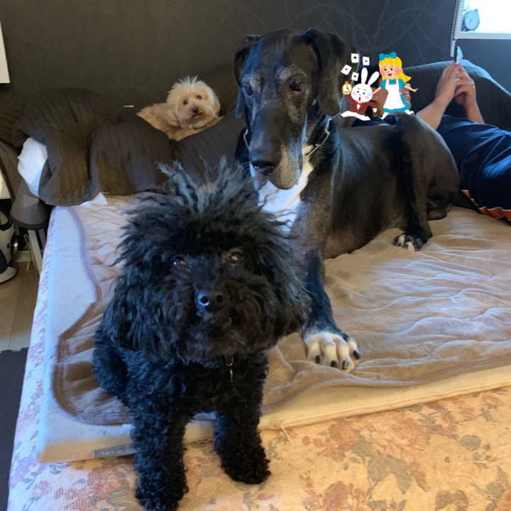 C5b650c1 f48d 43e3 b4f3 e1d1e6b12d3b 1560807345917