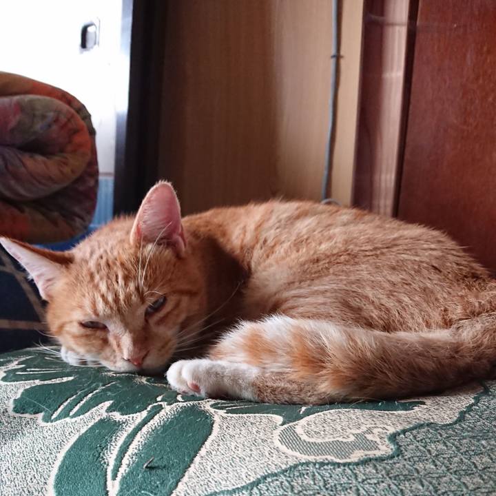 C5b66430 6971 4eea a2c6 6b6d45cf9769 1566251436153