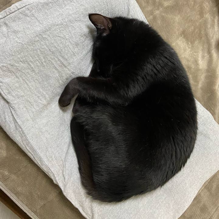 C5b665eb e4b3 4e30 96cc 2d521392d7cb 1650195150376