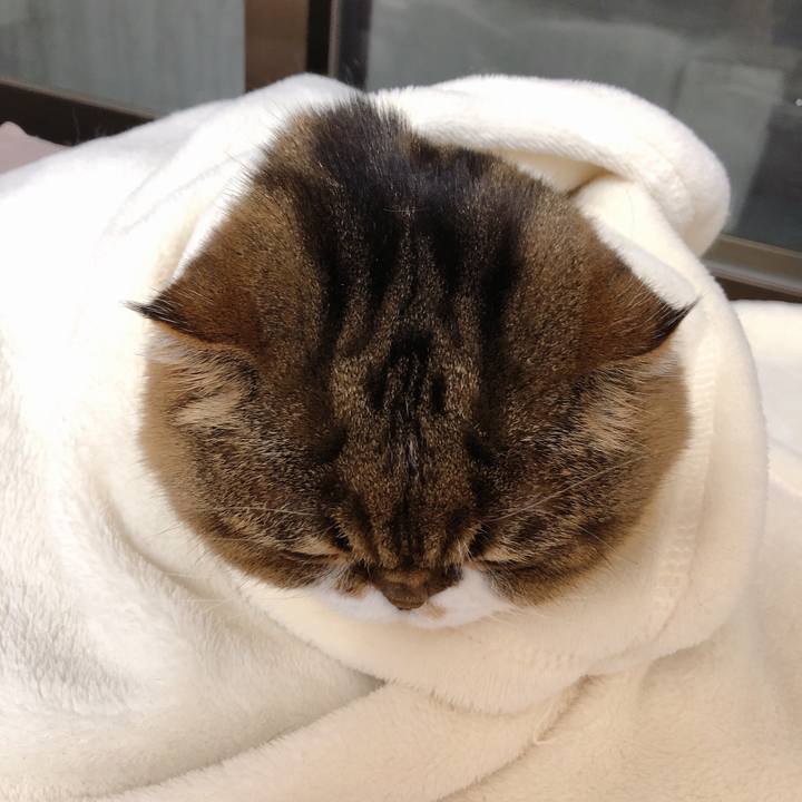 C5b68bc5 4f40 46ad af16 376cdde89a47 1549175759625