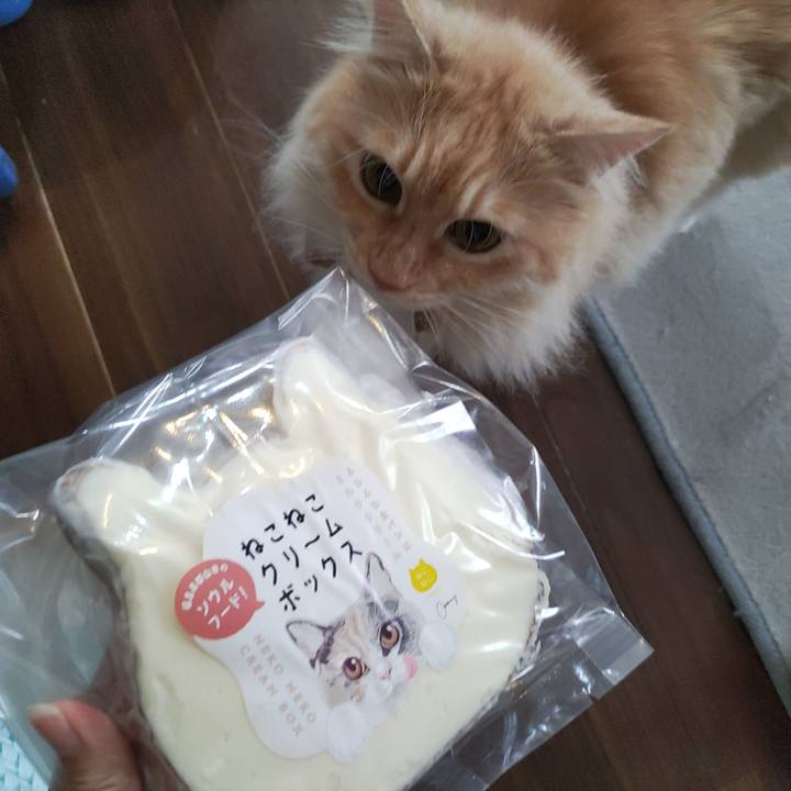 C5b6a025 6076 4fc6 a330 6f96007d31ef 1720591432701