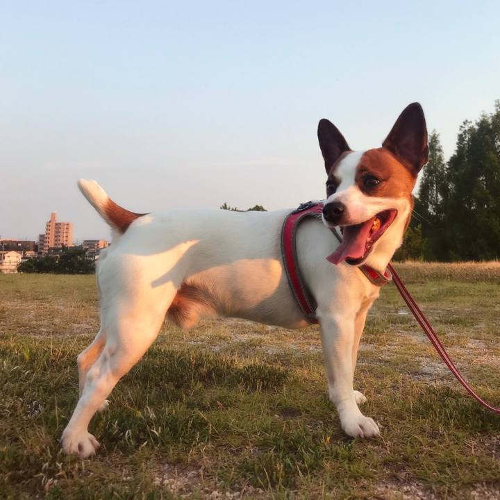 C5b6b1b7 c12b 4293 a32e a28ff07af7be 1532431304148