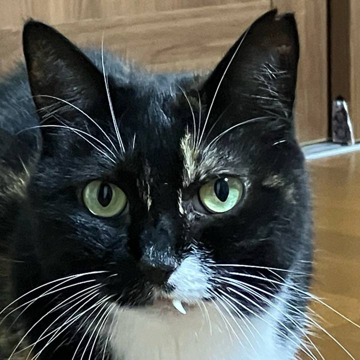 C5b6df51 e5da 46a1 9b65 2f7c3e7e9938 1761308652252