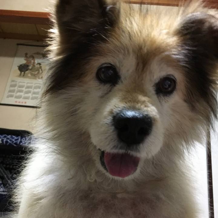 C5b6fafc f09a 4dde b8b6 d14e2a2a1b59 1567358099584