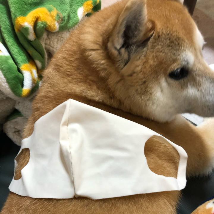 C5b71f80 4a76 4911 9136 d0749e24db4f 1587443237506