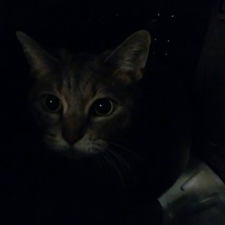 C5b749cb 56ff 4726 985a f92e143c8d01 1542279955102