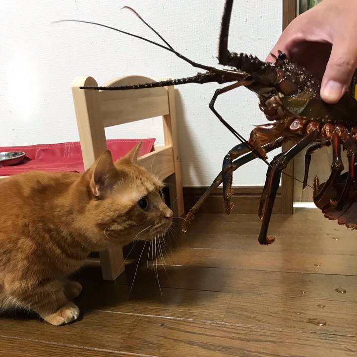 C5b75750 a5ed 4045 a968 42b47f6cc1a9 1570359582018