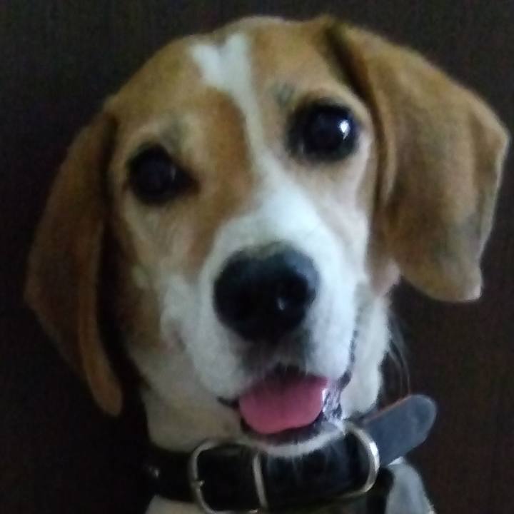 C5b75d31 2e6e 468d 940f ab4a506ee7a4 1697618502898