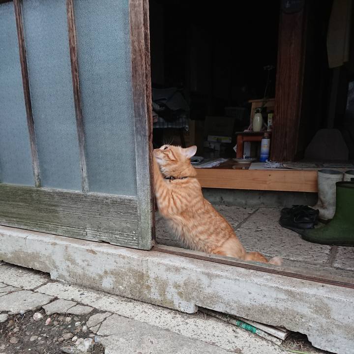 C5b76e17 3de6 4d99 b466 0114391734a9 1658177166810