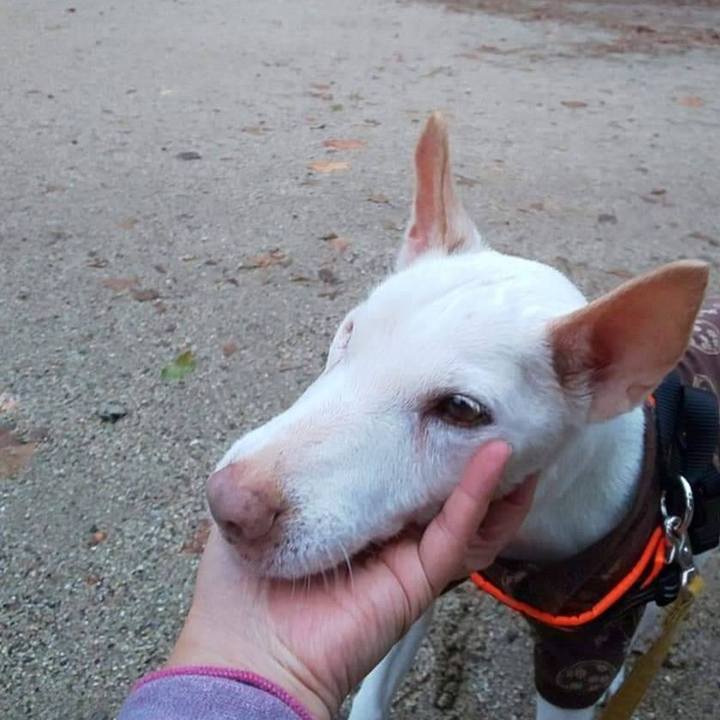 C5b7ed3a 5407 4e1b 85e7 270df455d77e 1667606456372