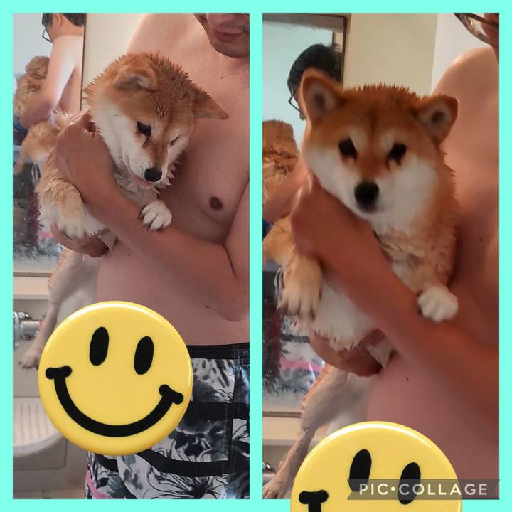 C5b7ee1d 223e 4c23 b8f7 166f2a12b8e9 1747962051479