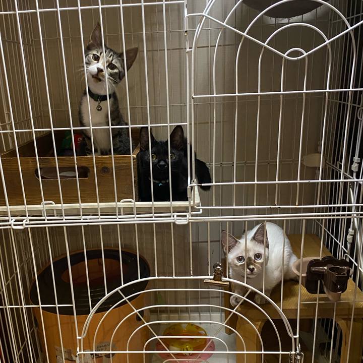 C5b84f4b 8ea5 4990 be48 0629bb6e1dcc 1631007869785