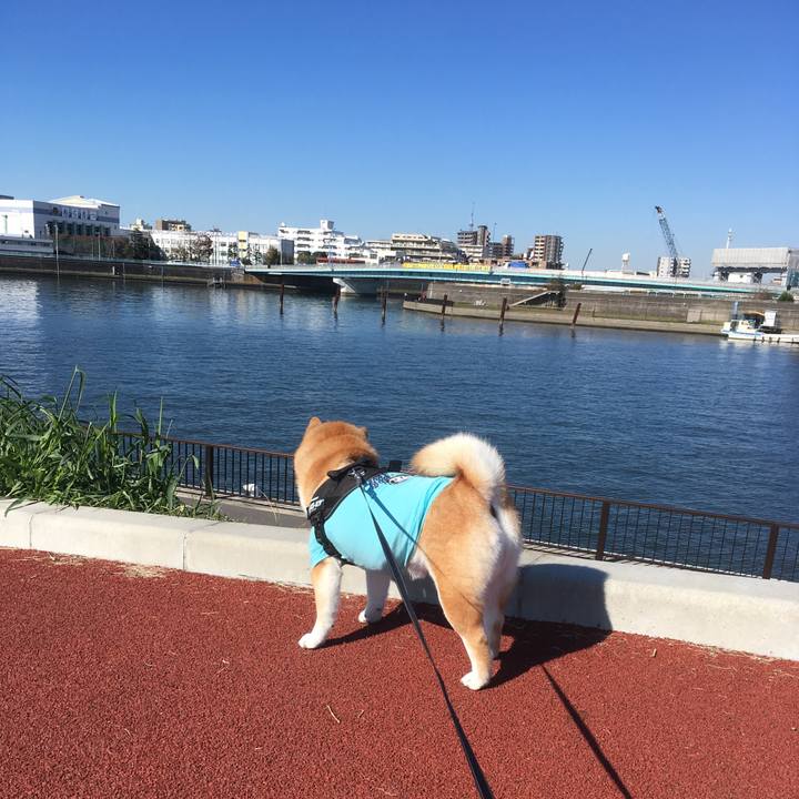 C5b85cad 0e56 45a2 9b84 788d50cca10d 1541123497248