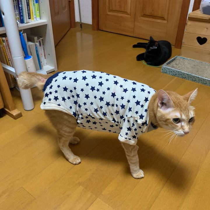 C5b8690f 5575 4cba 9268 a1218f3ae611 1632055098638