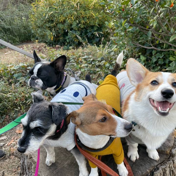 C5b89069 f4a1 4cd0 a00a c8b90cb175d4 1703905342726