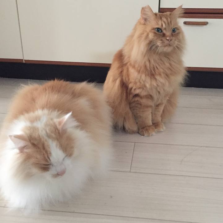 C5b8921f 31ee 432f 83de c894b68ff84c 1557870978682