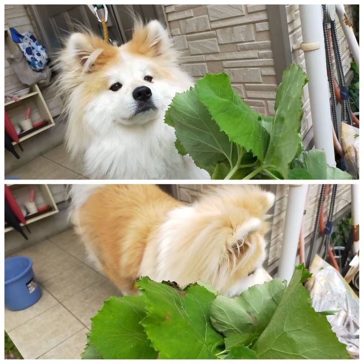 C5b89dd7 720f 4afd b82c 45ca156d75d1 1619359331998