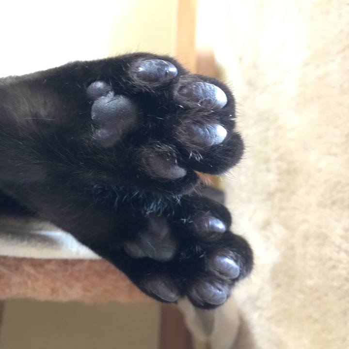 C5b8a1d2 e614 4508 b643 d078c9251161 1550710672902