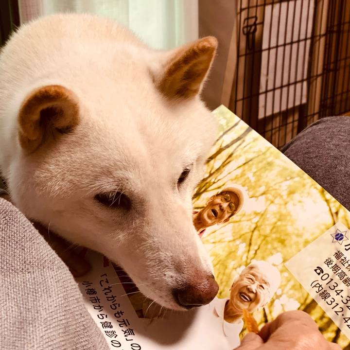 C5b8a2d7 06c4 4471 8d6f 66a000e3a730 1663550689620