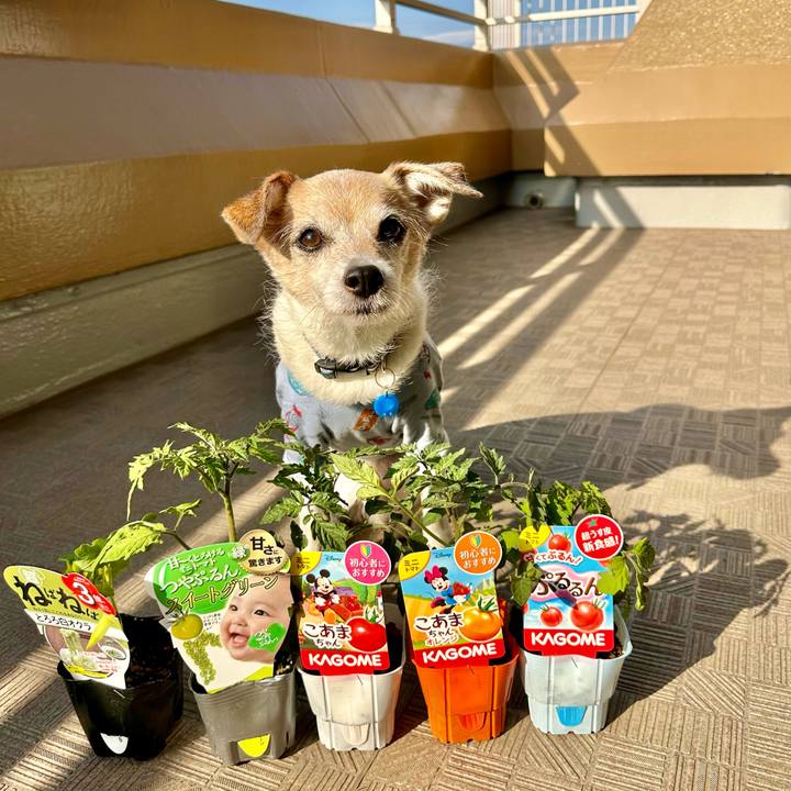 C5b8a65a f973 417a a937 9d9aef3aef18 1682925950747