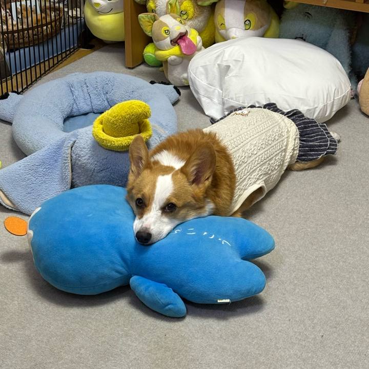 C5b8d025 fc0d 4685 a739 c25b7cc2b76b 1763383549424