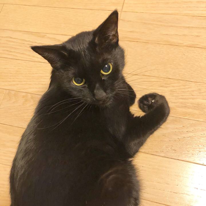 C5b8e7dd a1a0 446f b549 e0d24c7bada4 1581860373856