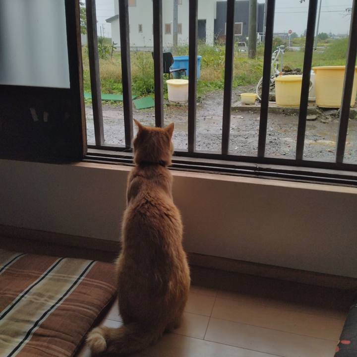 C5b8f2c5 7859 4dce ac2d d416f03314dc 1665124918420