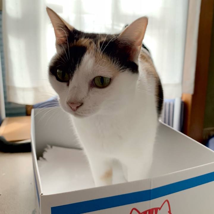 C5b91df4 88aa 4ab1 8314 cd3e13f0bd79 1538533320345