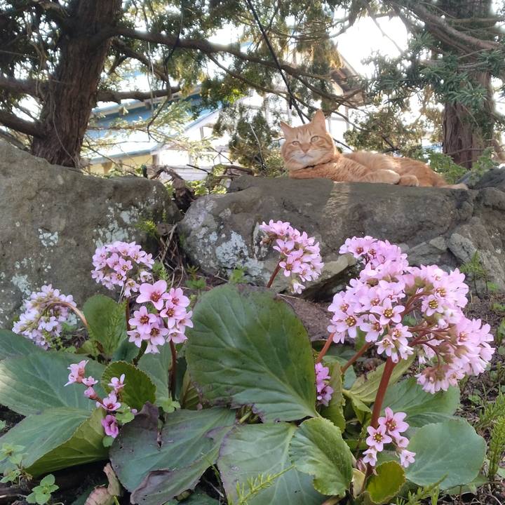 C5b91efc efd7 4387 a561 c86b083b9443 1713085816416