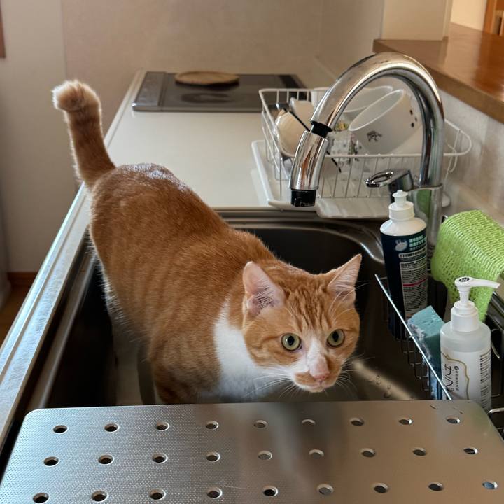 C5b921c4 9f72 46ac 87d5 bb59c53f7129 1756869825163