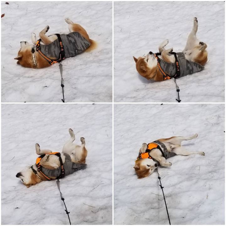 C5b92c20 8ab8 41a8 87c4 d89d7fa30252 1616288021181