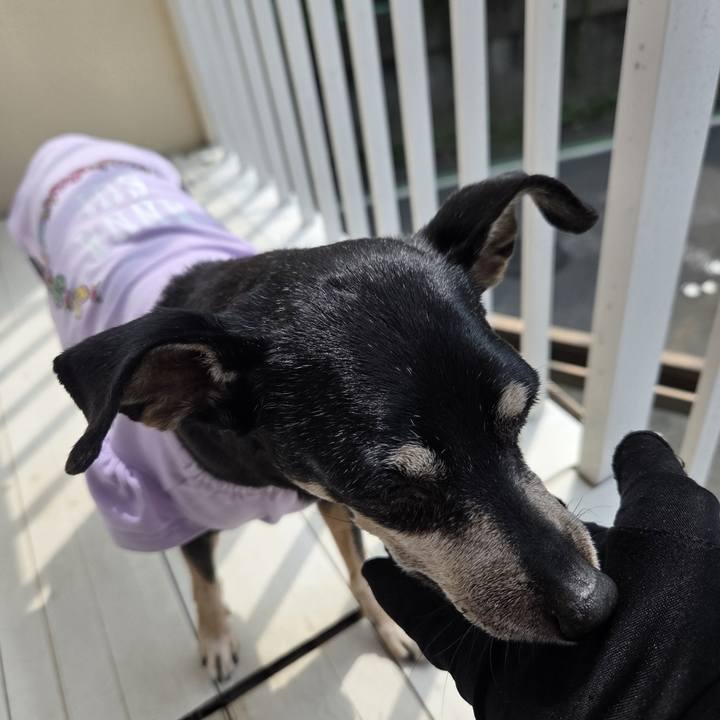 C5b93fec 5496 4dc3 a6f6 f2ca659c8b5b 1757386838073